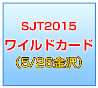 SJT2015 ワイルドカード