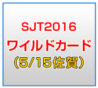 SJT2016 ワイルドカード