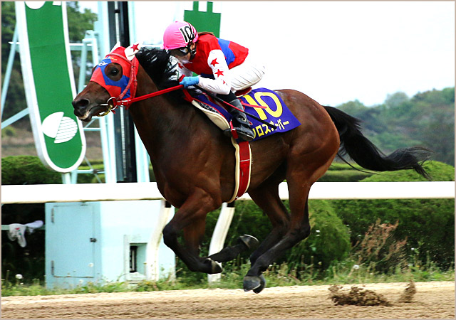 前年度勝ち馬