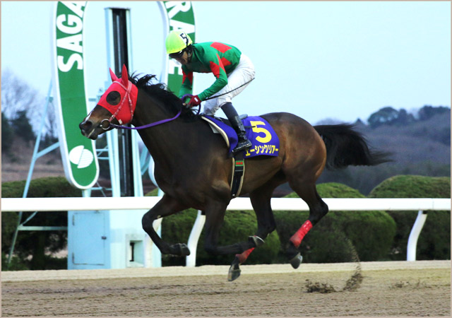 前年度対象レース勝ち馬