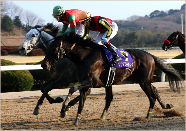 前年度対象レース勝ち馬