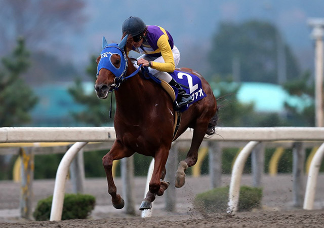 昨年の優勝馬