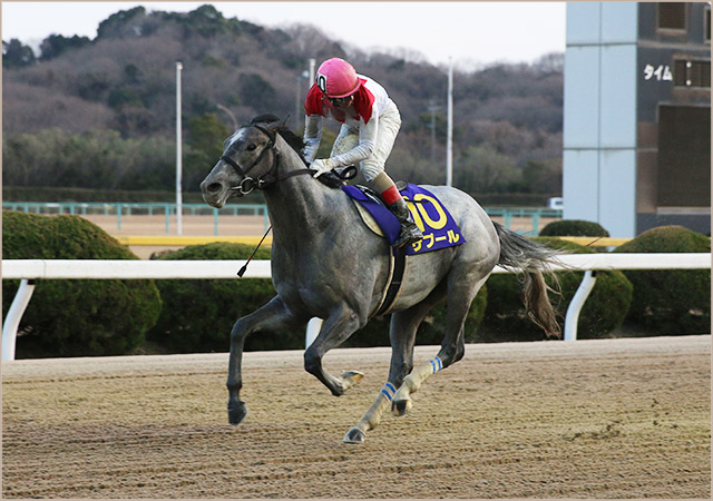 前年度対象レース勝ち馬