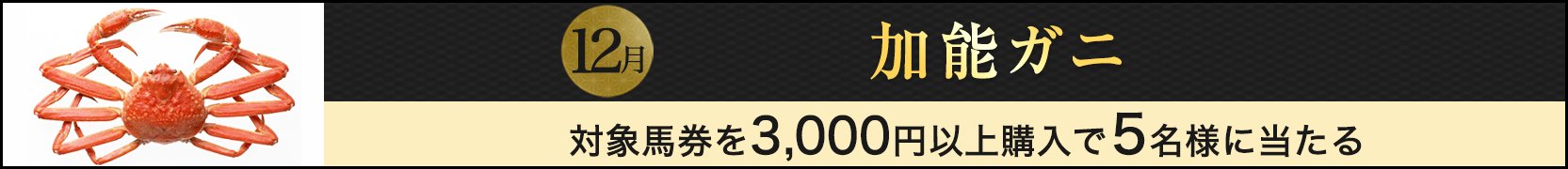 石川県特産品プレゼントキャンペーン（2018年12月）