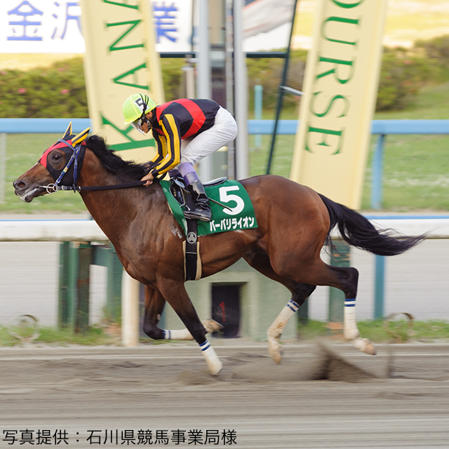 昨年の北日本新聞杯優勝馬「バーバリライオン」