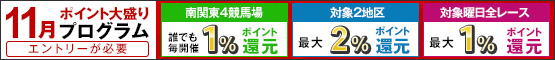 ポイント大盛りプログラム（11月）