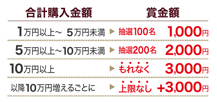 購入金額が10万円増えるごとに賞金額が+3,000円に！